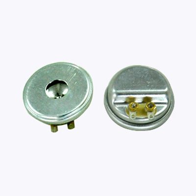 Electromagnetic Siren Transducer